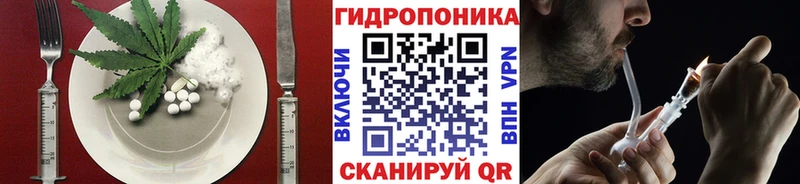 Canna-Cookies марихуана  где продают   Новотитаровская 