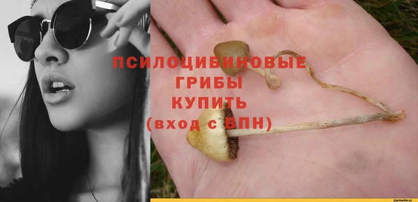 прущая мука Медногорск