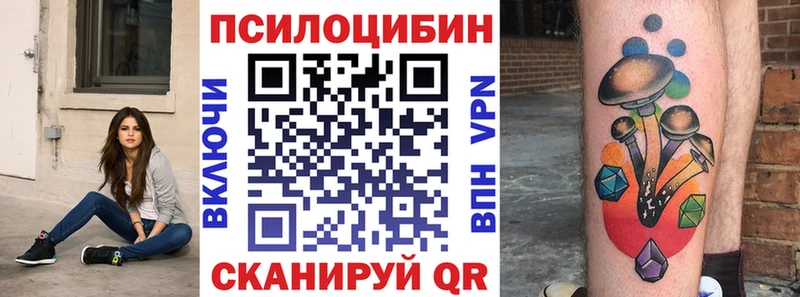 Псилоцибиновые грибы ЛСД  дарк нет клад  Новотитаровская 